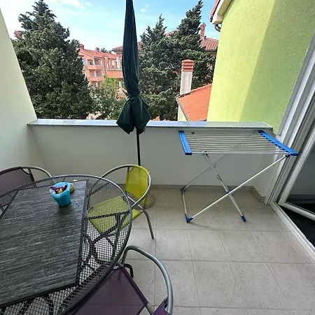 Violeta Μεντουλίν