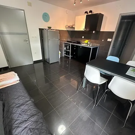 Violeta Apartment Medulin