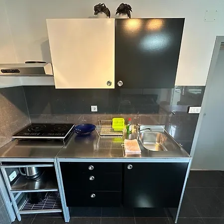 Apartment Violeta Medulin